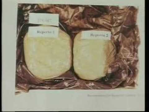 Ruoppolo Teleacras - Coca what? Cocaine!