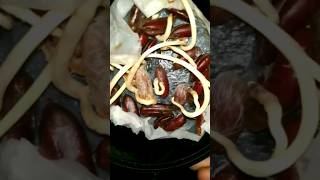 How to Germinate dates seeds #shorts