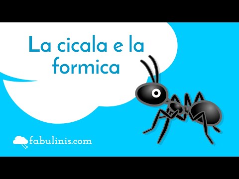 La cicala e la formica 🐜 favole di Esopo raccontate
