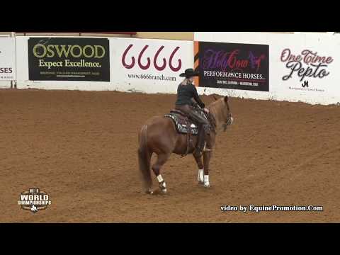Shine Smarter ridden by Sarah L. Dawson  - 2018 Celebration of Champions (Open Hackamore, FINALS)