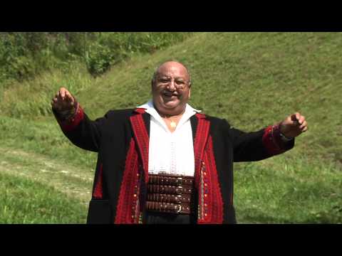 Ion Ghițulescu  - Nu mi-e necaz că iubesc. (video)  Tel. 0761700069