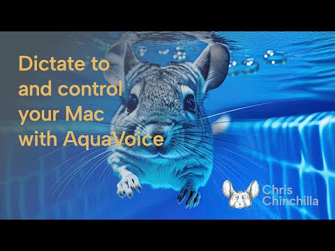 Vibe coding and more with Aqua Voice for macOS
