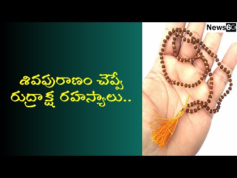 history of rudraksha in telugu