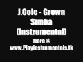 J.Cole - Grown Simba (Instrumental)