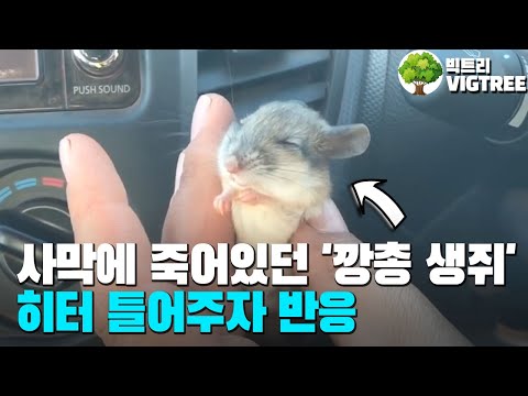 아이콘