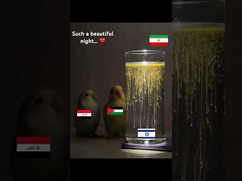 The Missiles was promised 3600 years ago by Moses God #israel #iran #palestine #usa #war #memes