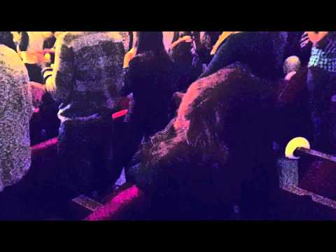 At the Serj Tankian concert, the girl needed an exorcism