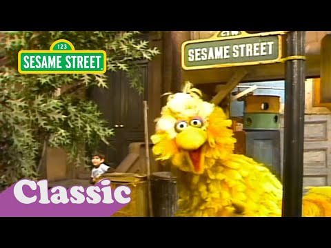 Big Bird Loves His Street Song | Sesame Street Classic