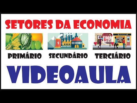 Sectors of the economy | primary, secondary and tertiary