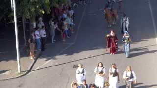 preview picture of video 'Robbio - 29° Palio dl'Urmon (1°Settembre 2013) - Sfilata Completa'