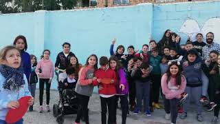 Hoy celebramos el dÃa de la paz.