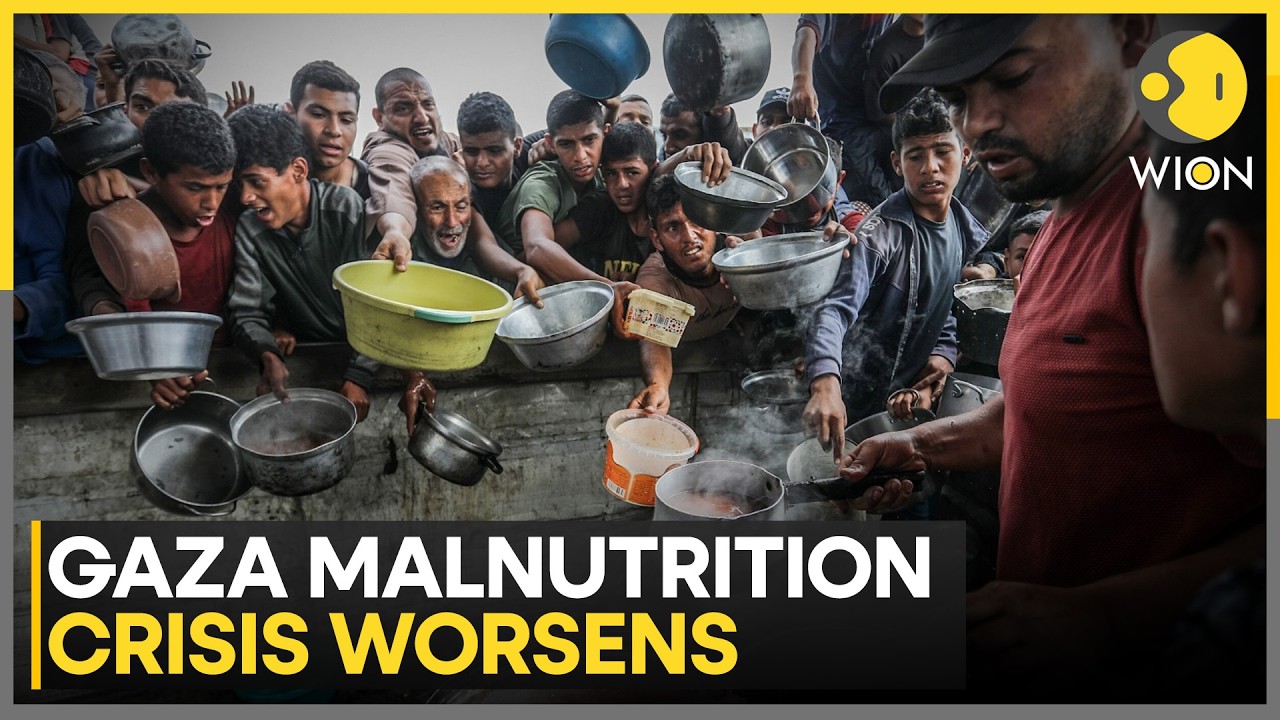 Gaza Crisis: UNRWA Finds 134 Malnutrition Cases In 4,200 Screened Children | WION