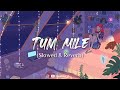 Tum Mile Slowed Reverb Beatflow