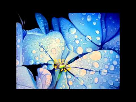 Takashi Yoshimatsu - Memo Flora Concerto