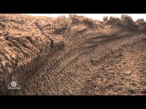 Jr. Super Larry Reyes Jr. Daytona & Freestone