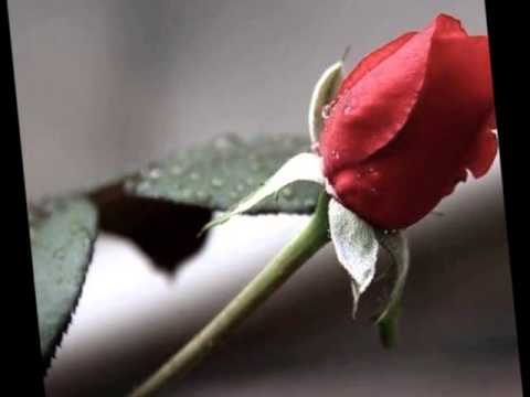 Tiziano Ferro - Il Regalo Più Grande