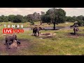 Tembe Elephant Park | Wildlife Live Stream