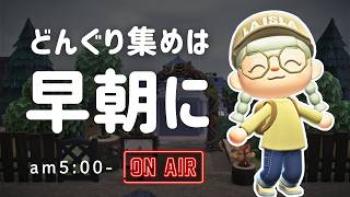 【あつ森雑談ラジオ】みんなが寝てる間にきのみを集めよう-am5:00～｜睡眠・作業用