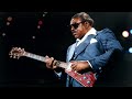 Albert King & John Mayall - Born Under A Bad Sign (Live 1982)