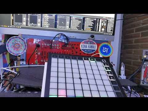 Guitar pedalboard the ua apollo bitwig + launchpad x 👁👄👁