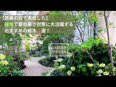 夏に美しい庭を楽しむために、3月にどの木や低木を剪定すればよいでしょうか?  庭園