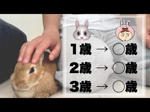 ウサギの年齢を知るにはどうすればよいですか?