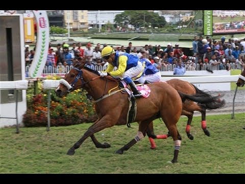 Beat The Retreat - The Coolest Chilli Hinterland Cup
