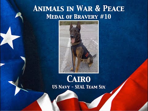 Cairo - Animals in War and Peace Medal of Bravery #10 (2022)