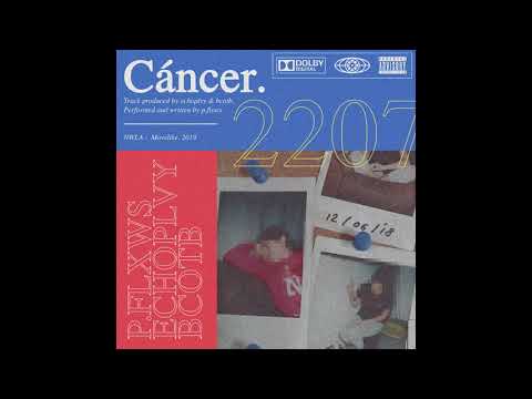 P.FLXWS - "🦀CÁNCER🦀" [PROD. X BCOTB & ECHOPLVY] (OFFICIAL AUDIO)
