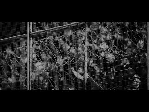 Loyal B x Skope - DERBY