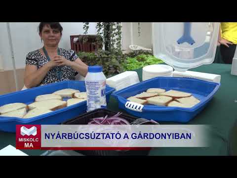 Videó előnézet