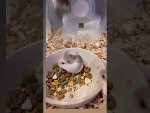 he playing in a cute way