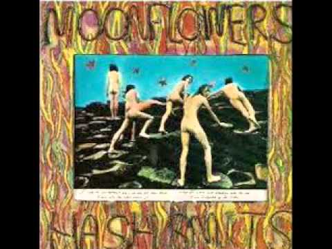 Moonflowers - Fire