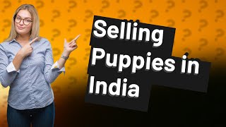 Is it legal to sell puppies in India?