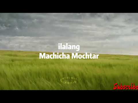 Machicha Mochtar - ilalang