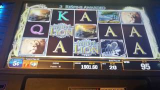 Big Win! White Lion slot machine bonus round at Empire City casino