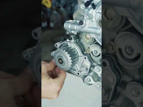 Honda B18 Engine Build pt1 | Oil Pump, Water Pump, and Rear Main Seal (Extremely Satisfying)