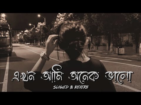 এখন আমি অনেক ভালো.!তোমায় ছাড়া থাকতে পারি 😩 | Bangla Song | Slowed & Reverb | Mohona Lyrics 🦋