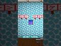 Deltarune Chapter 3 SECRET TUNNEL