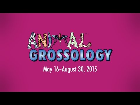 Animal Grossology at The Academy of Natural Sciences