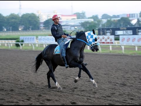 Pedro Miguel por Venezuela en la Copa Confraternidad 2015