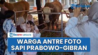 Sapi Kurban Prabowo & Gibran Jadi Perhatian, Warga Berfoto seusai Salat Idul Adha di Masjid Istiqlal
