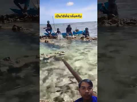 แบบนี้จับปลาอย่างง่ายดาย #fishing #fish #animals #shorts