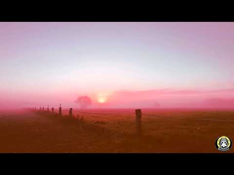 Mortebianca and Amico Diverte - Racconti Horror