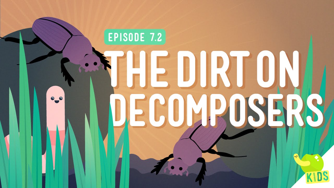What role do decomposers play in the ocean?