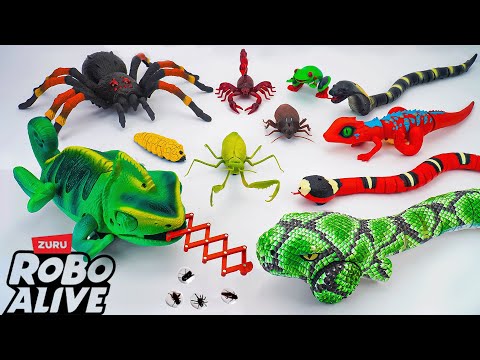 ZURU Robo Alive Tarantula & RC Chameleon Animal Toys ASMR 🦎 UNBOXING BIG SET ROBO INSECTS , SNAKE