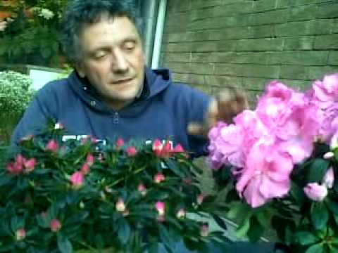 Trattamento obbligatorio di alcolismo di Chelyabinsk Modelli di dipendenza alcolica