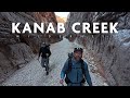 UNEXPECTED - 40 Miles In The Most Remote Desert