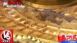 People Facing Problems with Ants in Gulivindhulapeta | Srikakulam | Teenmaar News | V6News