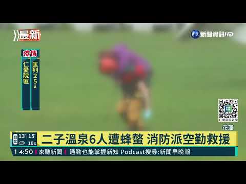花蓮二子溫泉6人遭蜂螫 2人一度昏迷